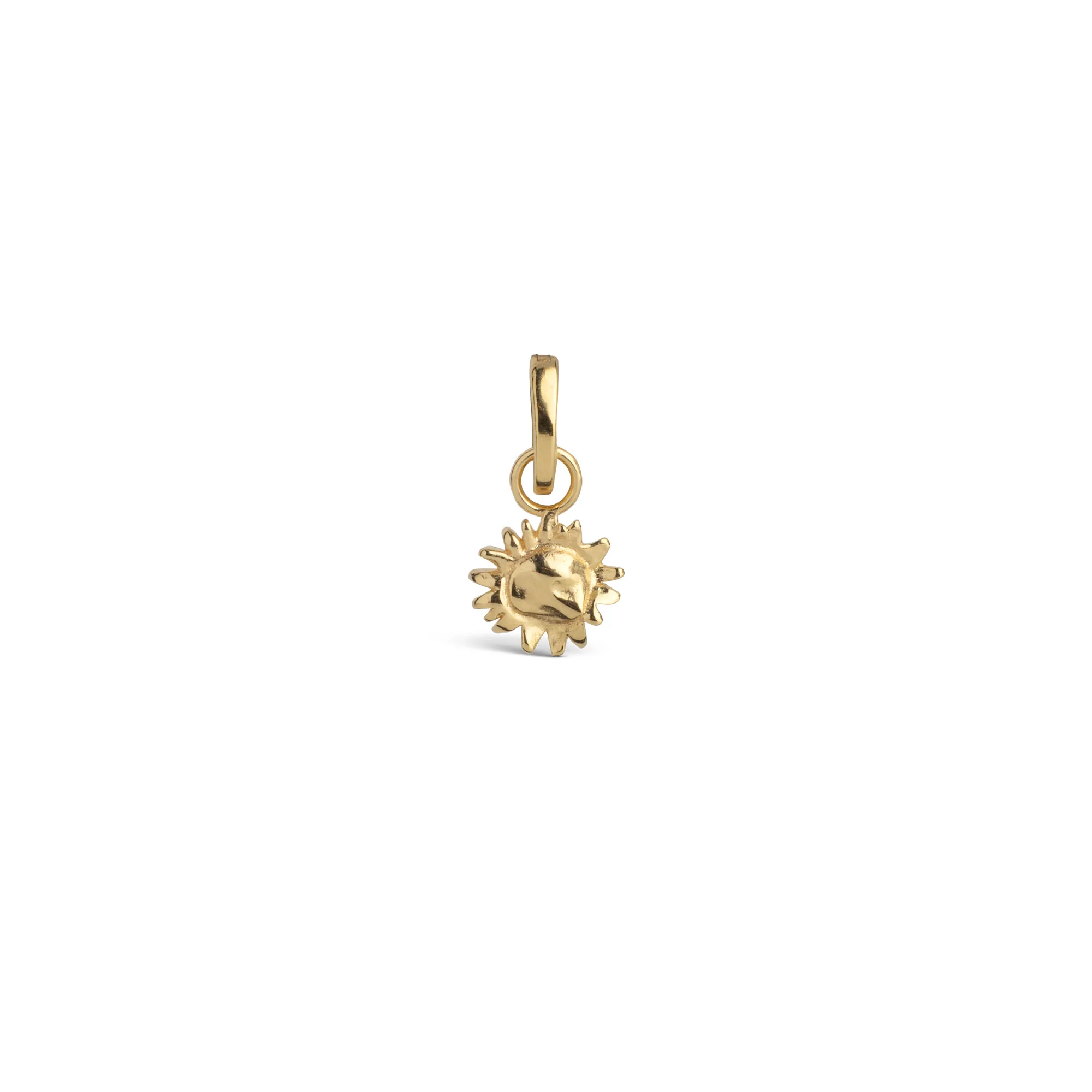 Charm, Sunny Sunshine - Image 2