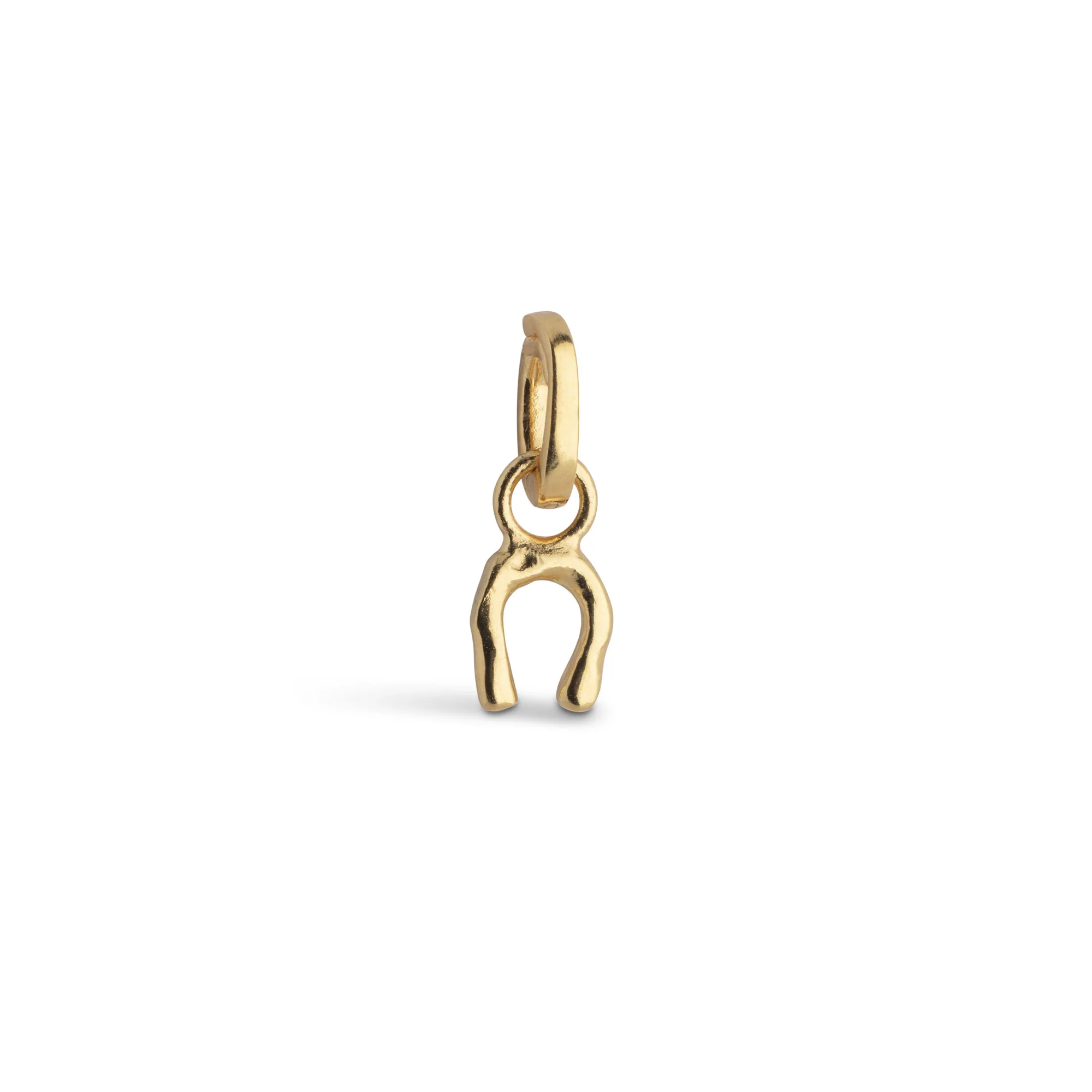 Charm, Lucky Horseshoe