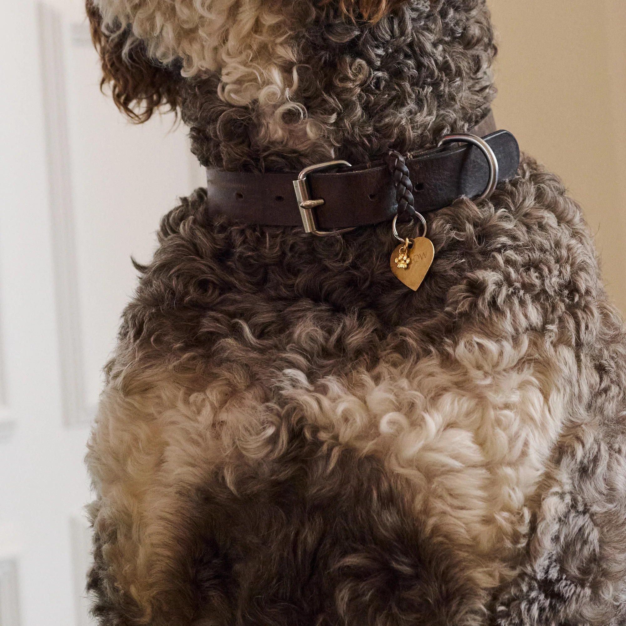 Charm, Sweet Paw - Image 2